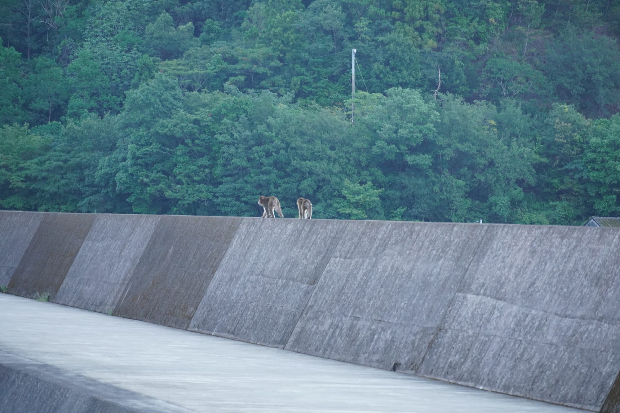 Von Fuji nach Wakayama