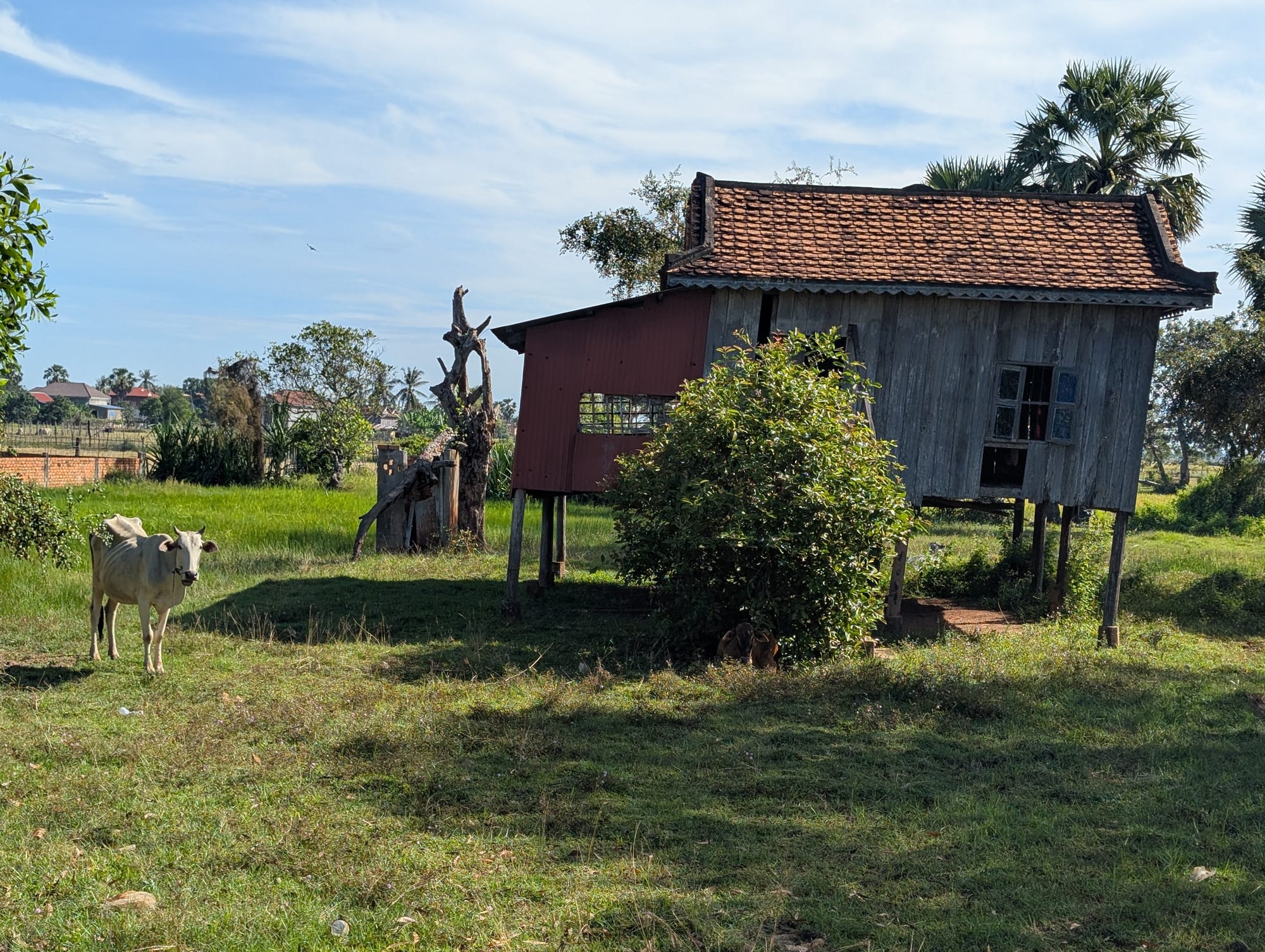 Ho Chi Minh City & Der Weg nach Kambodscha