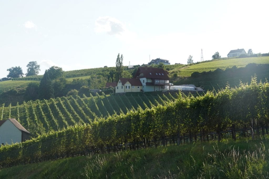 Day 13: Slovenska Bistrica -> Klöch