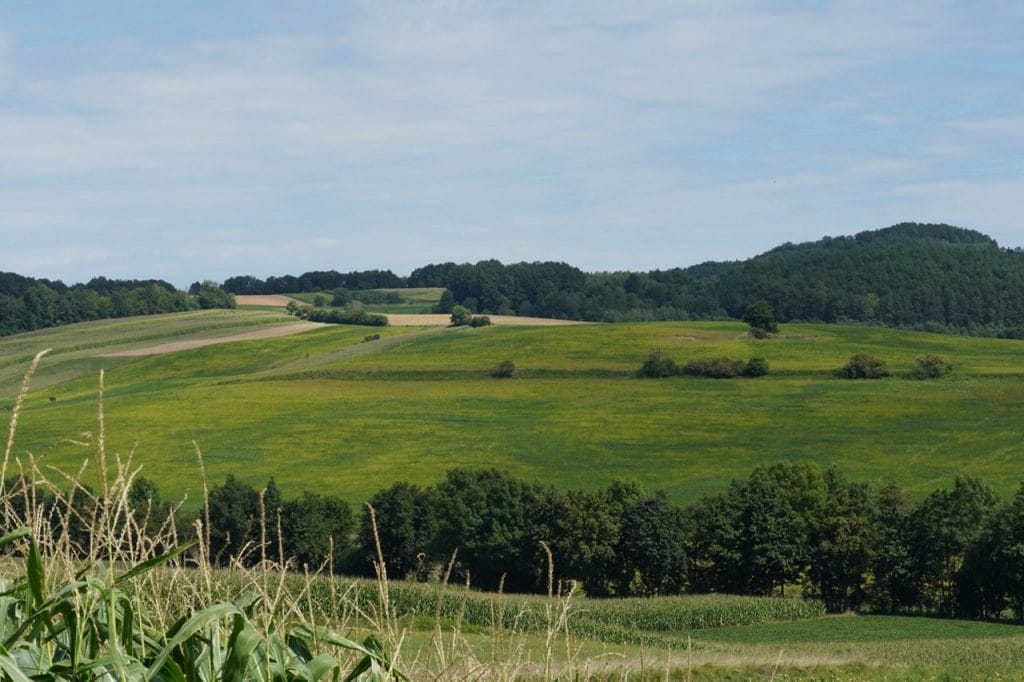 Day 14: Klöch -> Hartberg