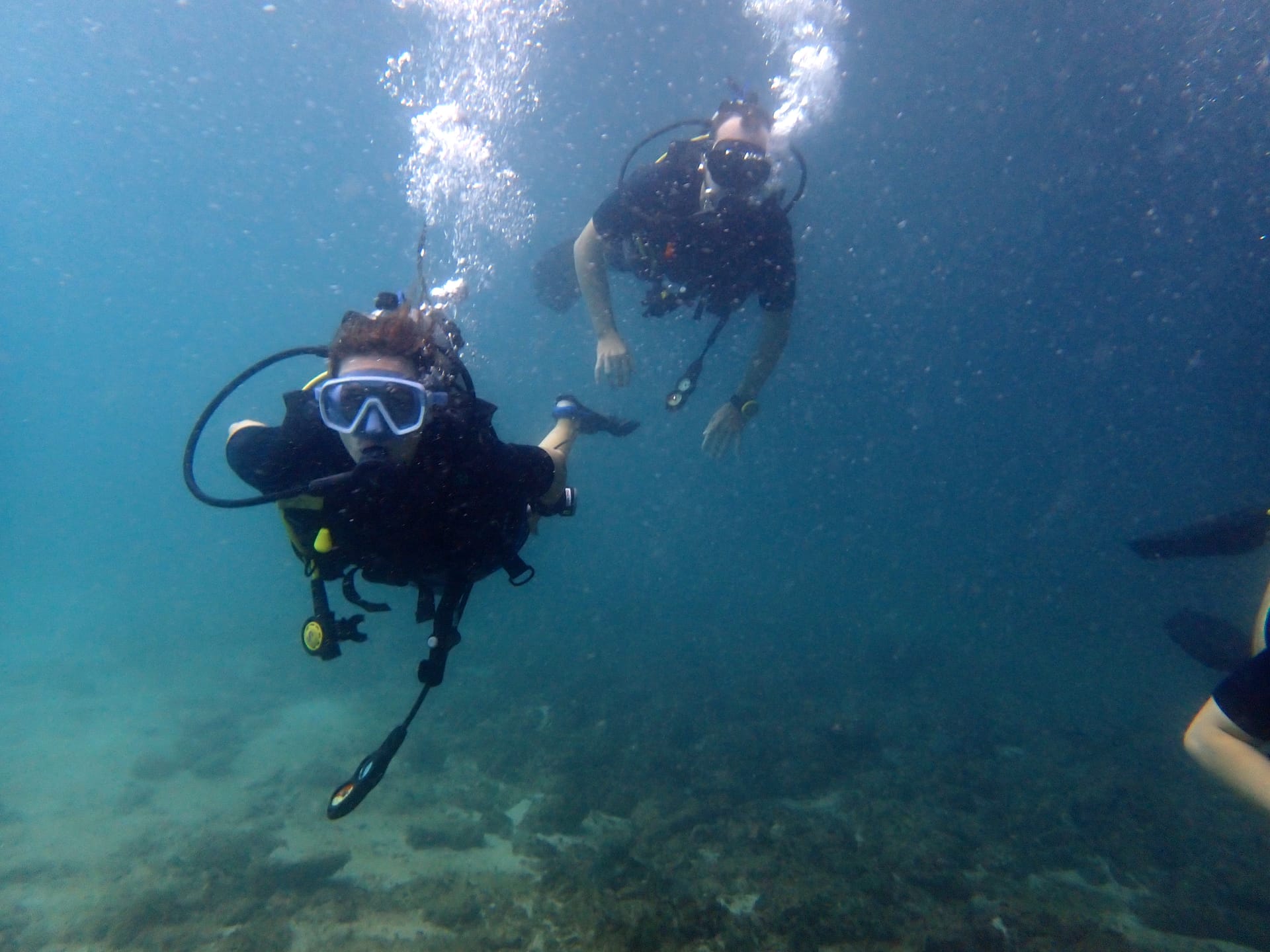 Tauchen in Phi Phi und Ko Lanta
